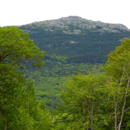 Monadnock Reservation